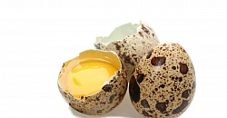 Яйцо перепелиное, 20 шт/упак, рынок Рахова, ИП Акопян, точка №31