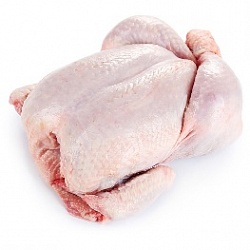 Цыпленок бройлер 1 категории монолит (охлажденка)(Приосколье). Вес, 1,4 - 1,7 кг, СПК Курников, Склад  