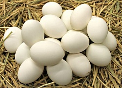 Яйцо куриное деревенское,СО, рынок РАХОВА, ИП Захарова, точка №32, 10шт/упак.